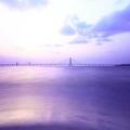 李雨桐 篮球分析师